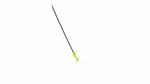 Render Fishing Rod — Vídeos de Stock
