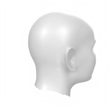 Human bust isolated on background