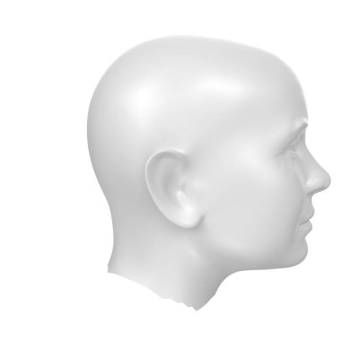 Human bust isolated on background