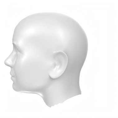 Human bust isolated on background