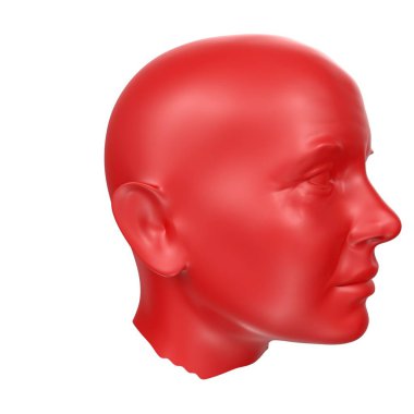Human bust isolated on background