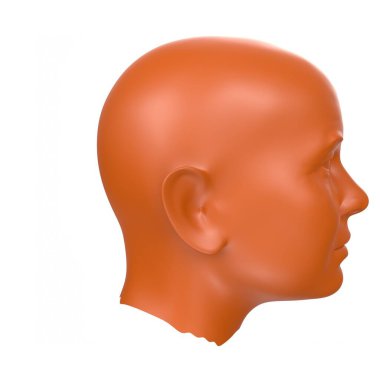 Human bust isolated on background