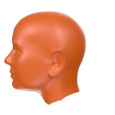 Human bust isolated on background