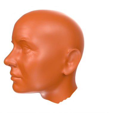 Human bust isolated on background