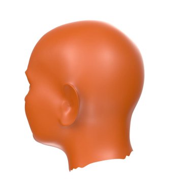 Human bust isolated on background