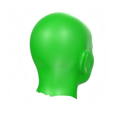 Human bust isolated on background