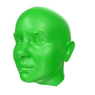 Human bust isolated on background