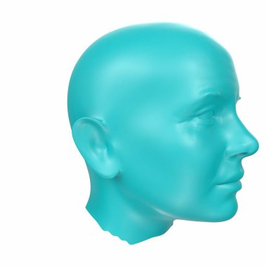 Human bust isolated on background