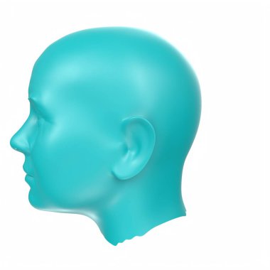 Human bust isolated on background