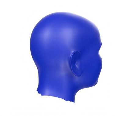 Human bust isolated on background