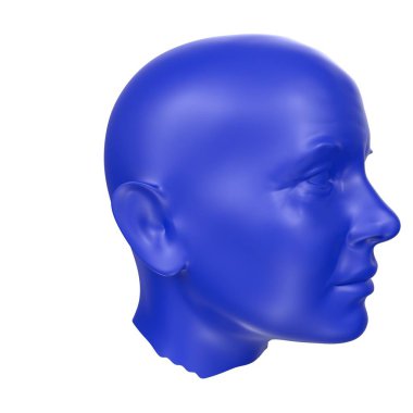 Human bust isolated on background