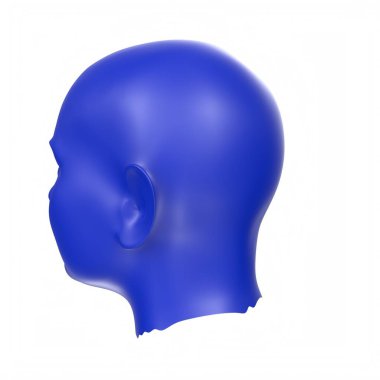 Human bust isolated on background