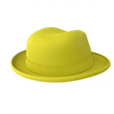 hat isolated on background