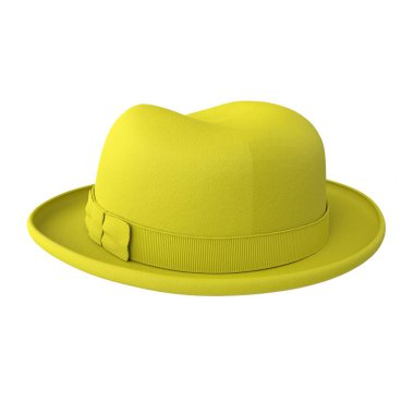 hat isolated on background