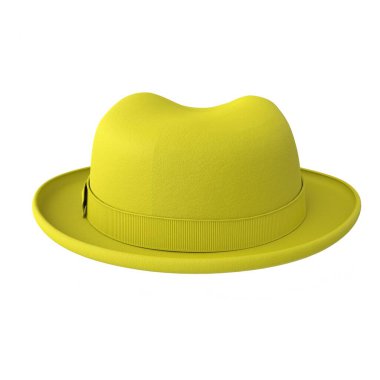 hat isolated on background