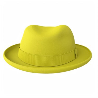 hat isolated on background