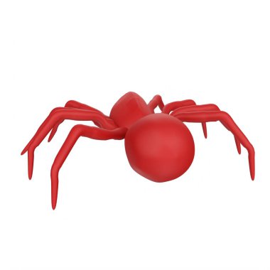 illustration of a spider isolated on background