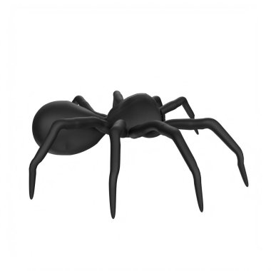 illustration of a spider isolated on background