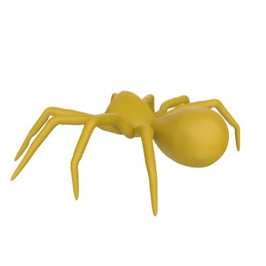 illustration of a spider isolated on background