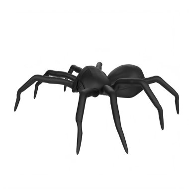 illustration of a spider isolated on background