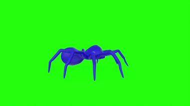 Yeşil arkaplandaki örümcek