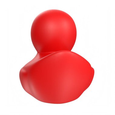 Black duck isolated on white background