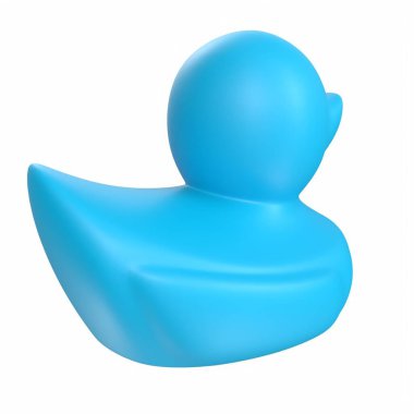 Black duck isolated on white background