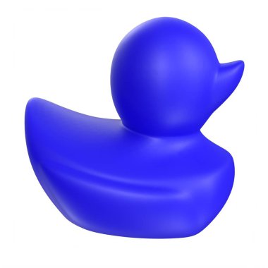 Black duck isolated on white background