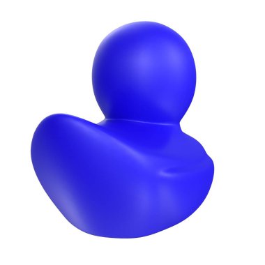 Black duck isolated on white background