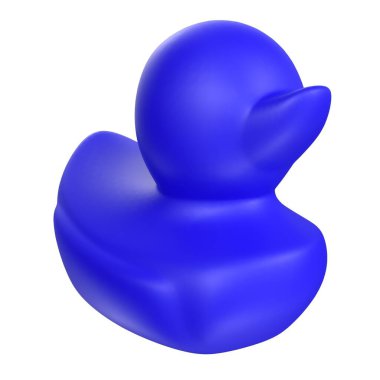 Black duck isolated on white background