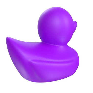 Black duck isolated on white background