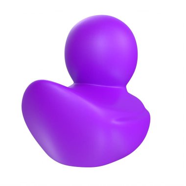 Black duck isolated on white background