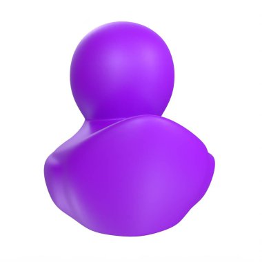 Black duck isolated on white background