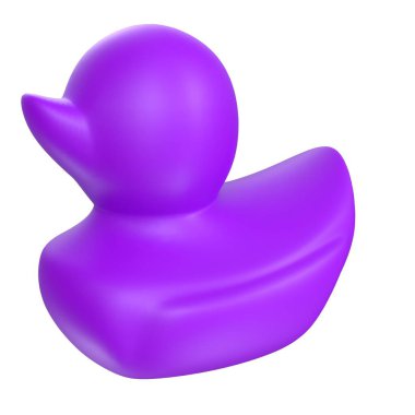 Black duck isolated on white background