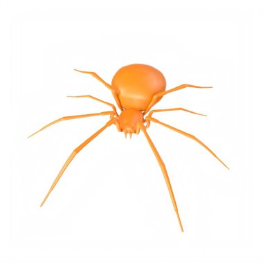spider isolated on background