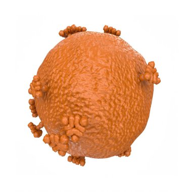 virus isolated on background