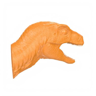 Raptor head isolated on wihte background