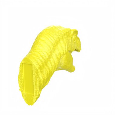 Raptor head isolated on wihte background