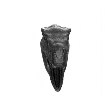 Raptor head isolated on wihte background
