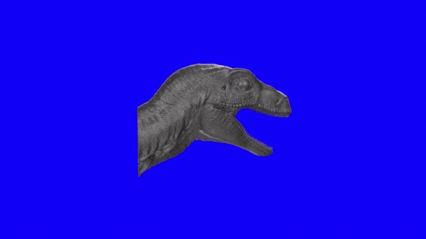 Raptor Head Isolated Background — Stockvideo