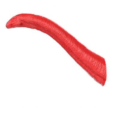 Apatosaurus animal isolated on background