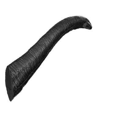 Apatosaurus animal isolated on background