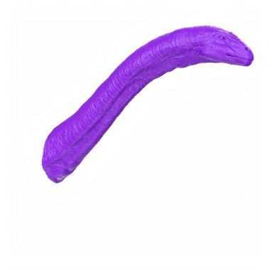 Apatosaurus animal isolated on background