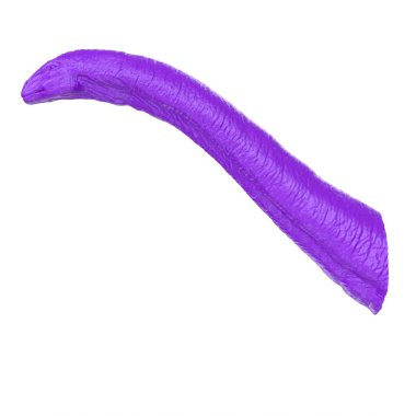 Apatosaurus animal isolated on background