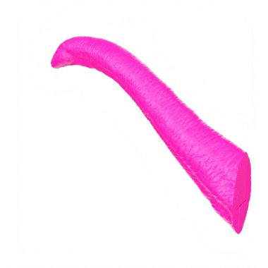 Apatosaurus animal isolated on background