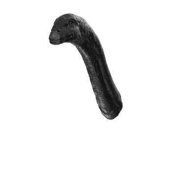 Apatosaurus animal isolated on background