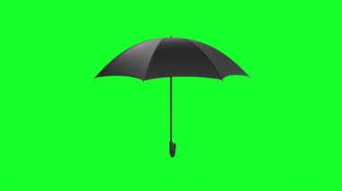 umbrella isolated on green background