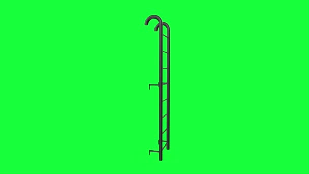 Ladder Isolated Green Background — Stock Video
