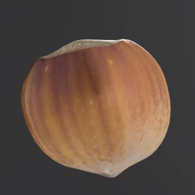 Fındık koyu arka planda izole