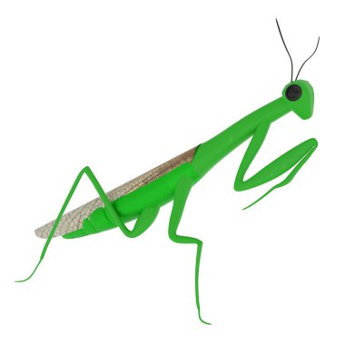 Peygamber devesi beyaz arka planda izole edilmiş. Yüksek kalite 3d illüstrasyon